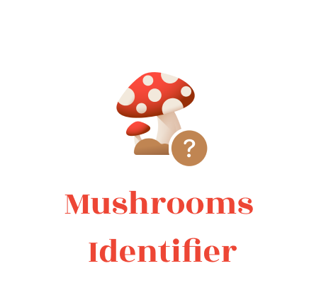 Mushrooms Identifier: AI Scanner | Identify & Learn with a Snap